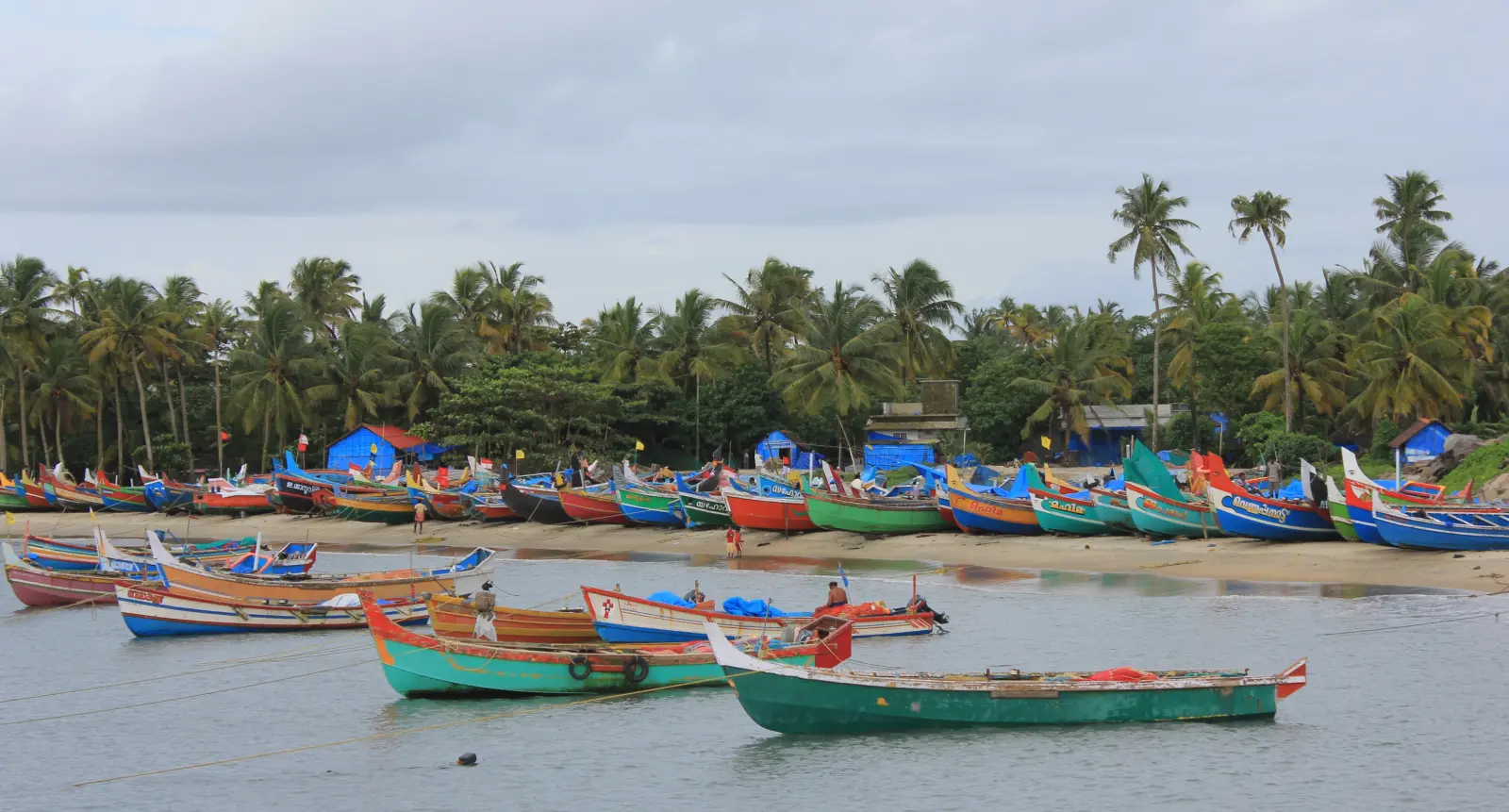 Beach Alleppey