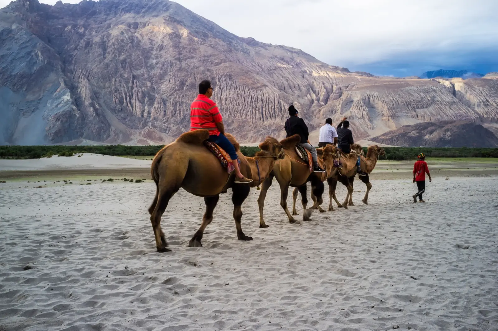 Camel Safari at Nubra Valley