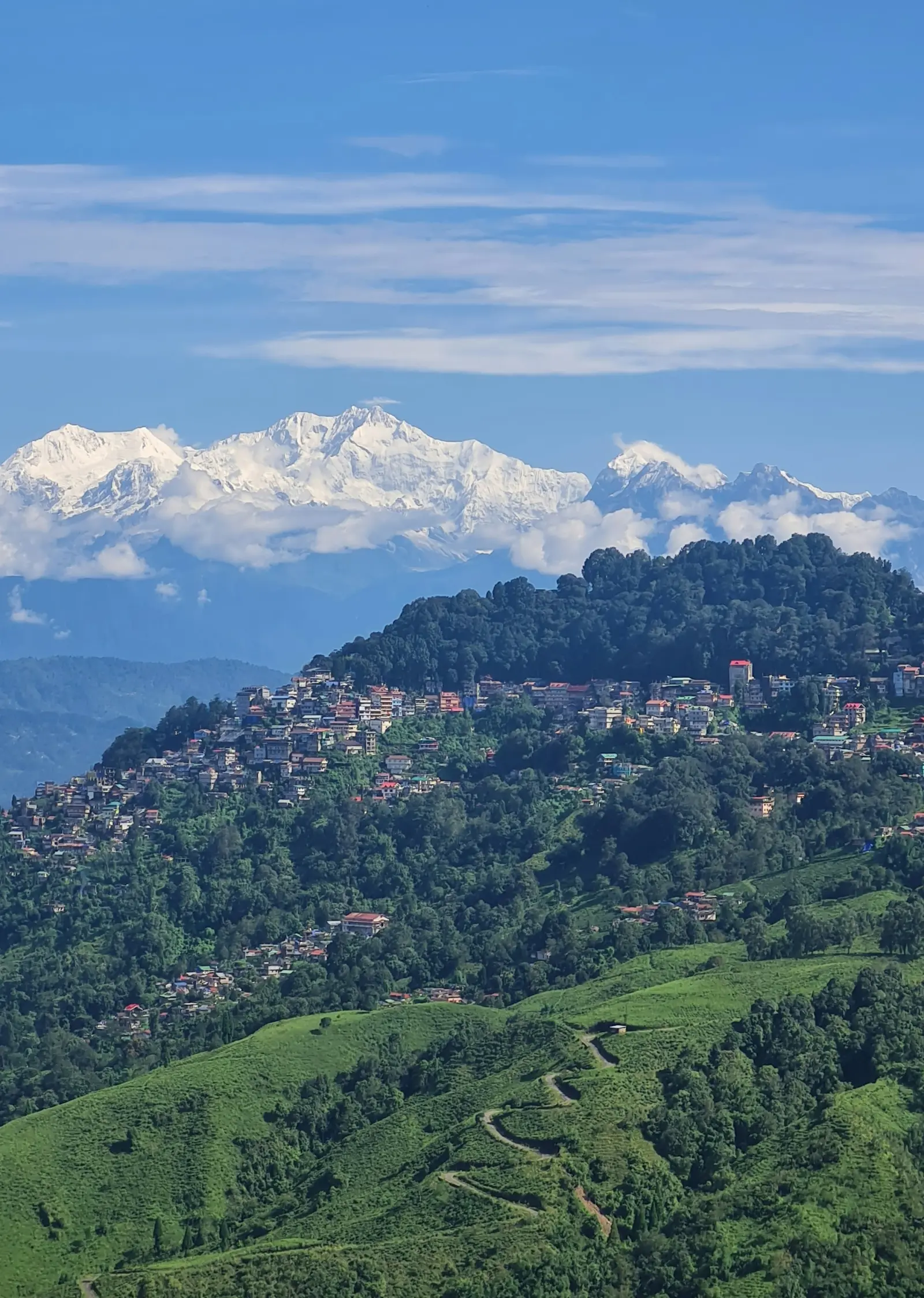 Mountain View, Darjeeling