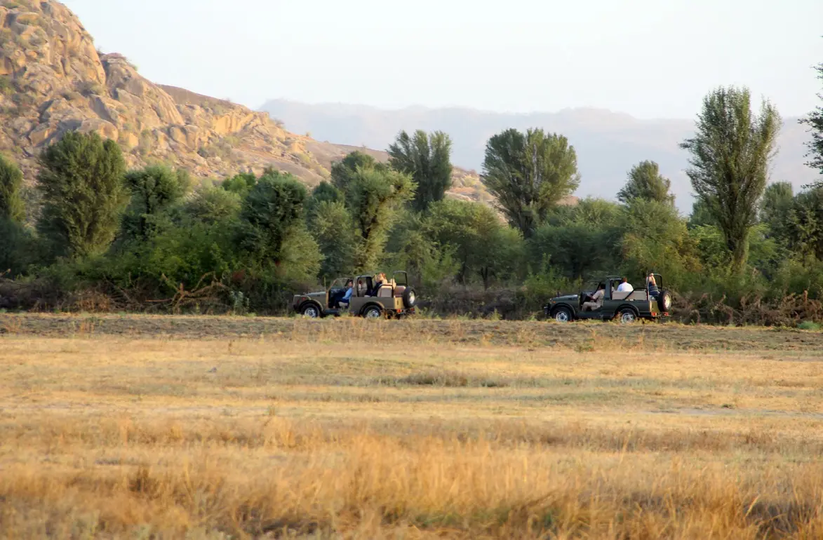 Narlai Safari Experience