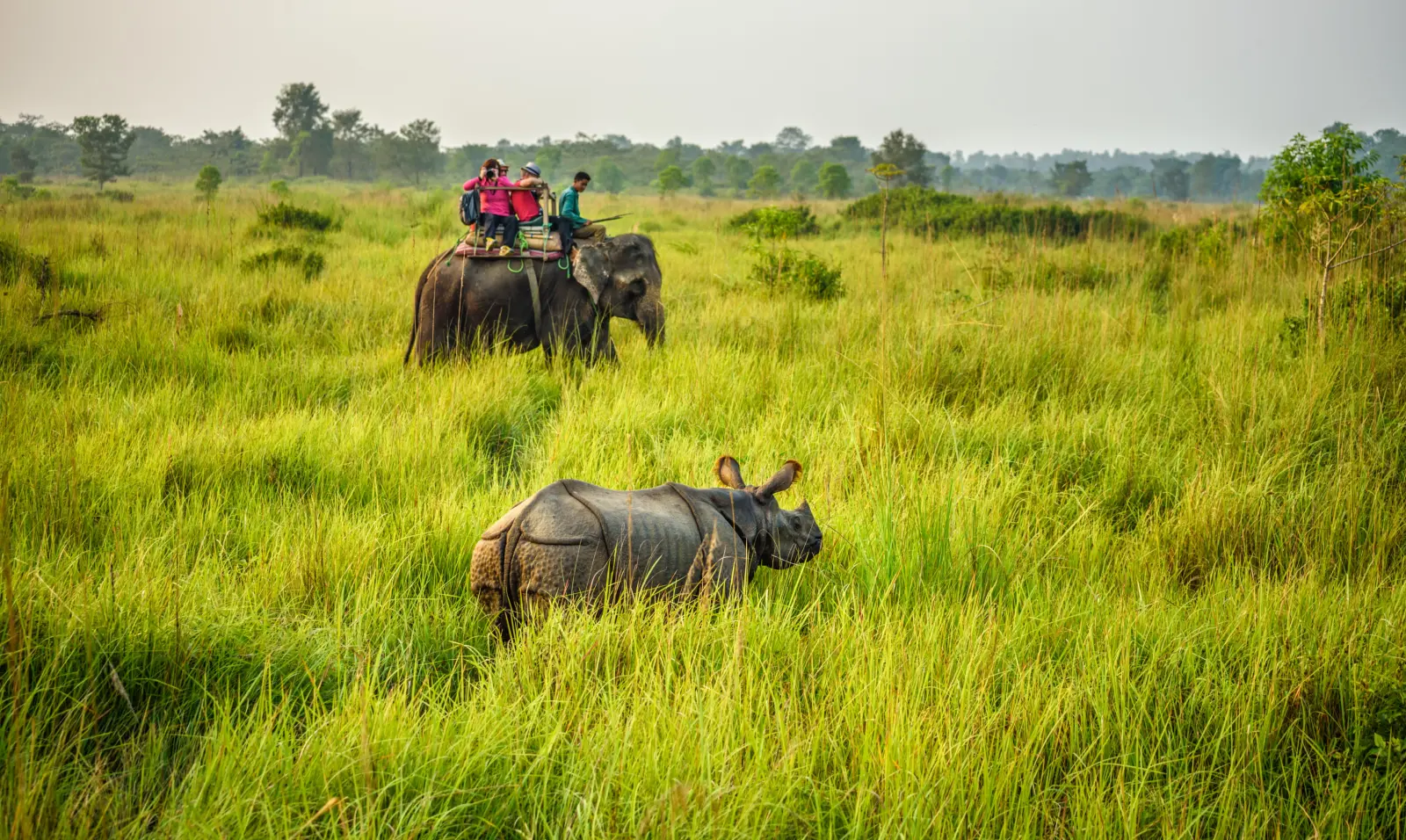 Chitwan National Park