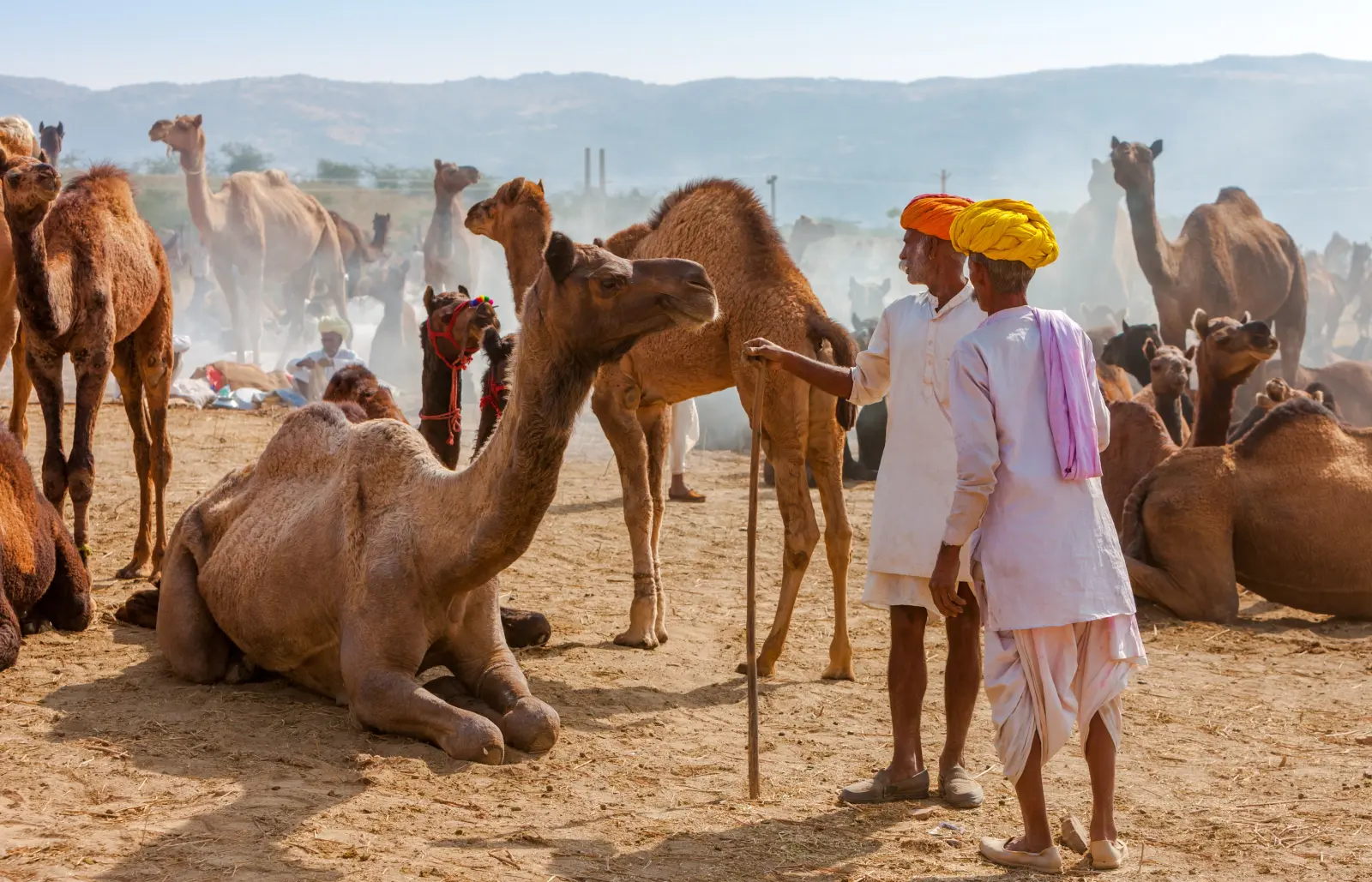 Hidden Heritage & Royal Rajasthan Trail